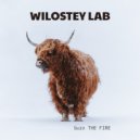 Wilostey LAB - burn THE FIRE (Live Mix)