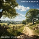 Bridgerton String Ensemble - The Modiste\'s Magic Touch ()