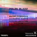 Polzn Bladz - Accoustic Audits