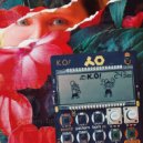 The Real Crispy Steve - Pocket Operator - 1
