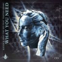 Kaysin, Niko The Kid, Tristan Henry - What You Need