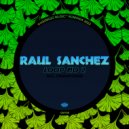 Raul Sanchez (Chile) - Loop No 2