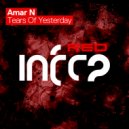 Amar N - Tears of Yesterday (Original Mix)