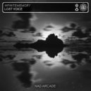 InfiniteMemory - Lost Voice