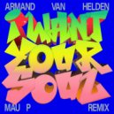 Armand Van Helden - I Want Your Soul