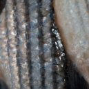 Paradise Circus - Titan