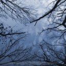 Wierless - La Rive ()