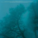 Wierless - Asylum ()