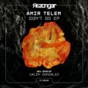 Amir Telem - Less Fear (Original Mix)