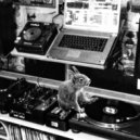 George The Infinite - The life of a squirrel