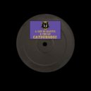 Peaky Beats - Cats In Calcutta