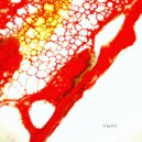 Daryn Steytler - Tool 2