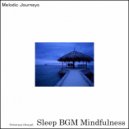 Sleep BGM Mindfulness - Sacred Chant (Original Mix)