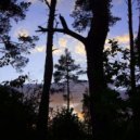 $L1VA? - in the flow ()