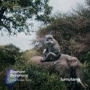 Victor Arruda, Dutra - Elephant Symphony (Original Mix)