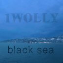 1WOLLY - black sea ()