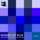 Cláudio Braga, Deelight, Mastercris - Shades Of Blue