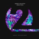 Sergey Salekhov - Magic Runa