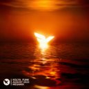 Kolya Funk - August 2023 Megamix ()