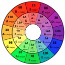 Vl Raccoon - Ms SpecTeh 24