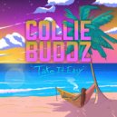 Collie Buddz - Take It Easy ()