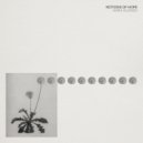 Hara Alonso - Notion 3 ()