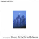 Sleep BGM Mindfulness - Serendipity\'s Slumber (Original Mix)