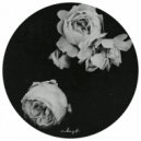 HDSN - Dare To Struggle Dare To Win