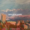 renvt & ava - Sen Hercaisin ()