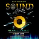 Ricky Levine - We Call It Music
