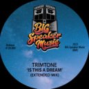Trimtone - Is This A Dream