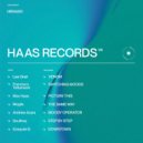 Max Haas - Picture This (Original Mix)