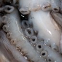 Das SPEZIAL, Taya Michington - Misplaced (Original Mix)