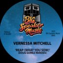 Vernessa Mitchell & Doug Gomez - Reap (What You Sow) (Doug Gomez House Remix)
