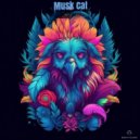 Musk Cat - Wild