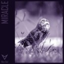 Wan Owl - Miracle (Extended Mix)