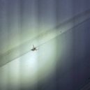 sportsilavsego - Depth of occurrence ()