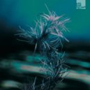 Kellerkind - Forest Mystery