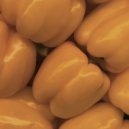 supersportlo - lovin' who & where 001