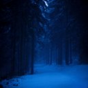 never møre - lost. ()