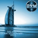 Djs Vibe - Dubai Session Mix 2023 ()