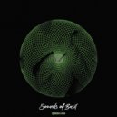 Sounds of Basil - Fallen Tears