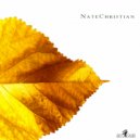 Nate Christian - Hold On (Original Mix)