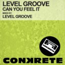 Level Groove - Can You Feel It
