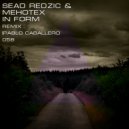Sead Redzic & Mehotex - In Form