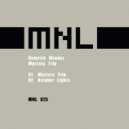 Heinrich Mendez - October Lights (Original Mix)