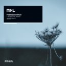 Francesco Pico - Blinkers