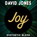 David Jones - Sincere Synthesis