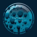 Silat Beksi - Sounds like a plan (Original Mix)