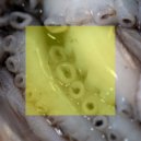 Das SPEZIAL, Taya Michington - What Does It All Mean